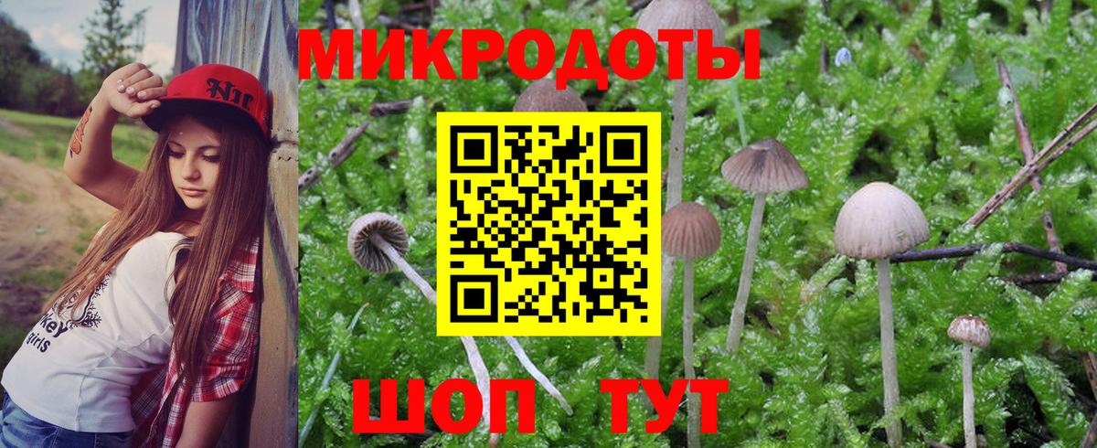 Галлюциногенные грибы мицелий Чусовой